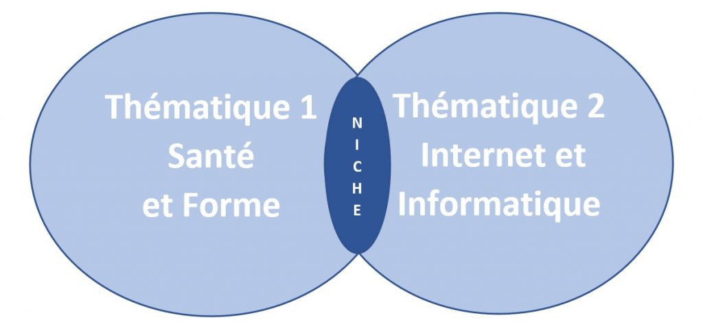 Vous pouvez trouver votre niche en cherchant la superposition de 2 thématiques déférente.